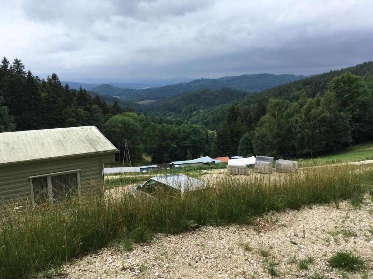 Blick Ladek-Zdroj Exterior foto